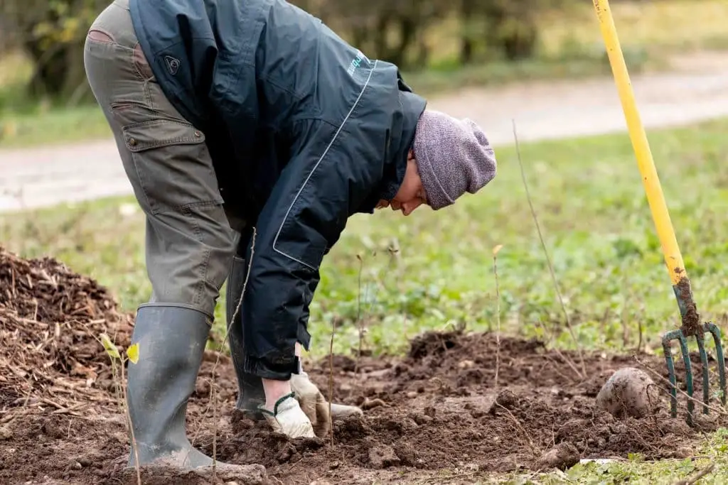 Le Marathon de la Biodiversité pour revégétaliser Villeurbanne