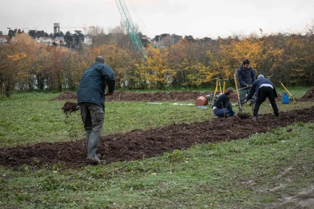 Le Marathon de la Biodiversité pour revégétaliser Villeurbanne