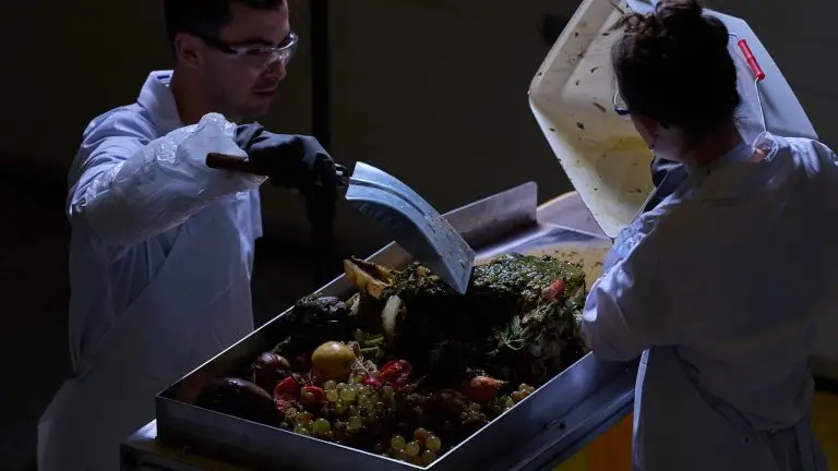 Des ingénieurs chimiste en blouse blanche vers des déchets organiques dans une bassine