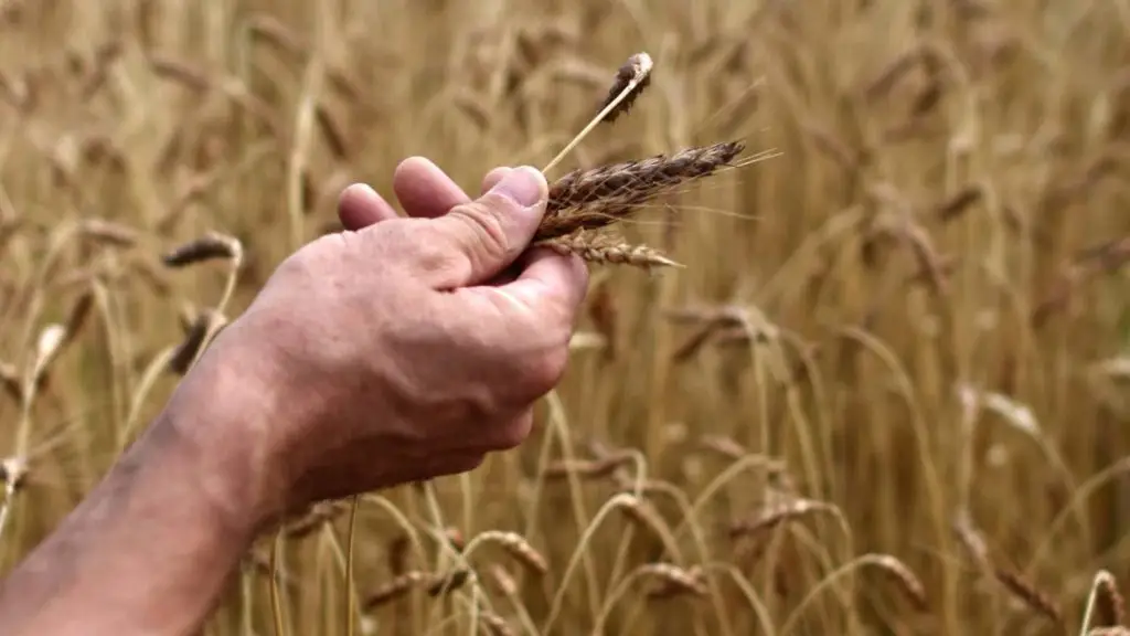 Le label Bio Equitable en France englobe les produits végétaux (miel, plantes aromatiques et médicinales, fruits, légumes, céréales, légumineuses) et les produits animaux (lait, viande, oeufs).