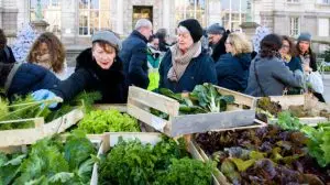 distribution legumes Limoges