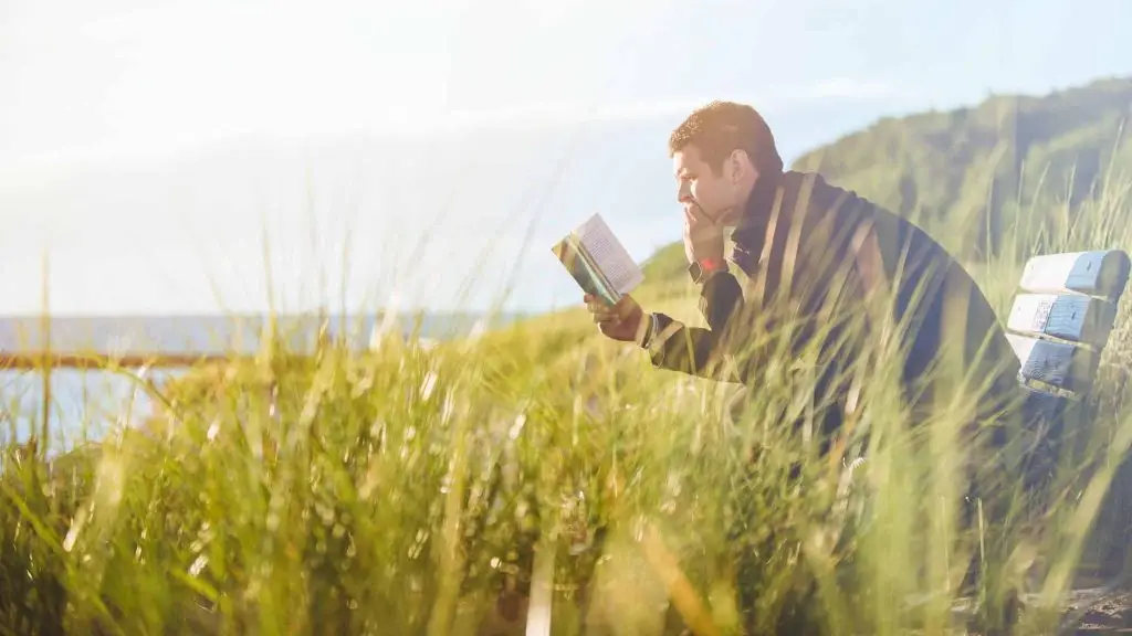 Reading in a meadow