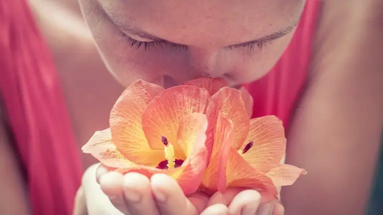 Le parfum et ses bienfaits par valérie demars