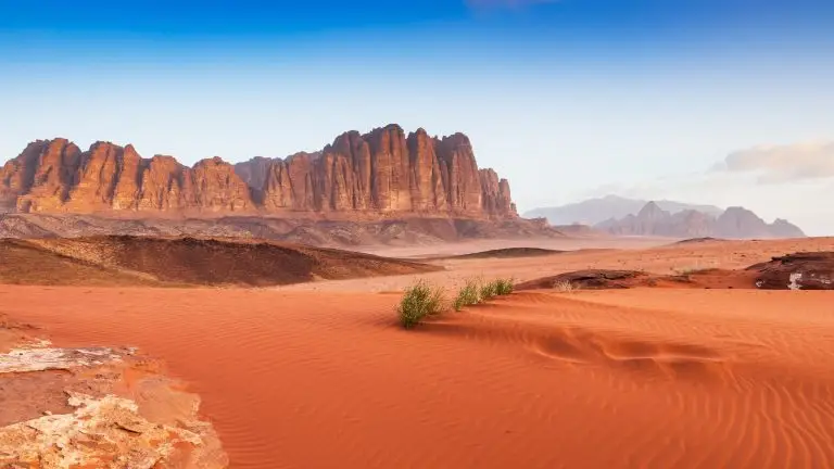 Jordanie: la permaculture pour relever les défis écologiques et humains