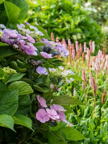 Jardins de la Réjonière