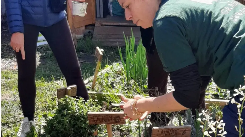 Lyon : Graines Urbaines reconnecte les urbains à la nature en ville