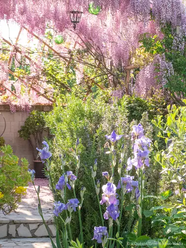 Le Jardin des Couronnes