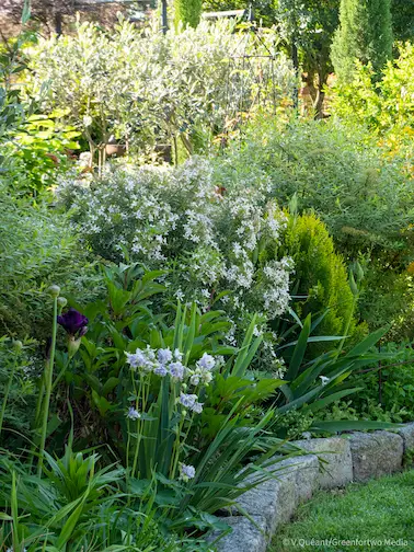 Le Jardin des Couronnes