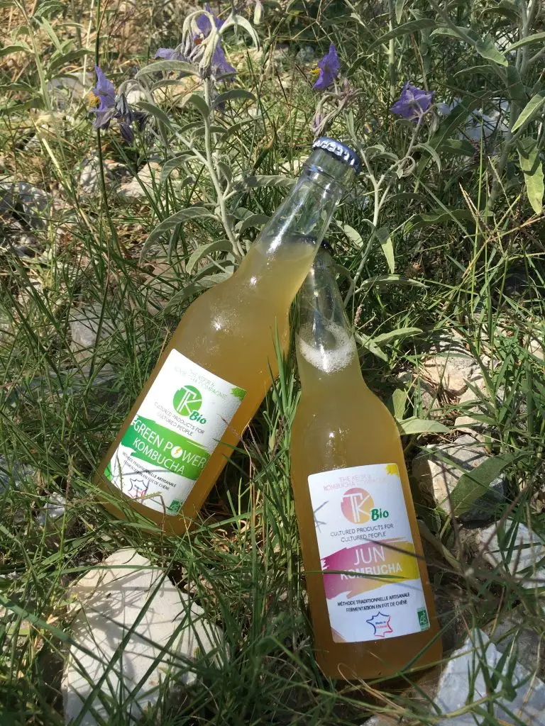 kéfir & kombucha : des boissons et vinaigres aux bienfaits naturels