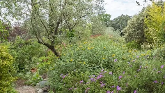 Jardin de la Taillade