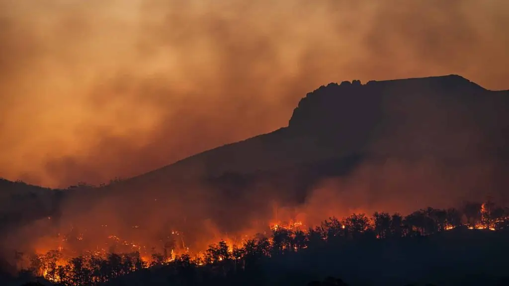 Feux de forêts incontrôlables, comment les prévenir ?