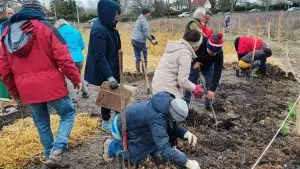 Strasbourg : un collectif citoyen plante une forêt urbaine