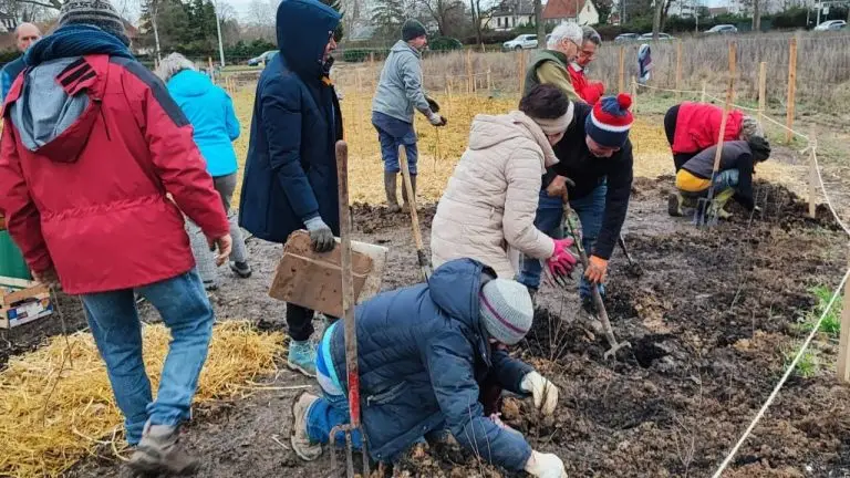 Strasbourg : un collectif citoyen plante une forêt urbaine