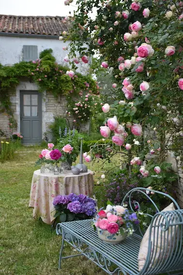 Des Pensées au jardin