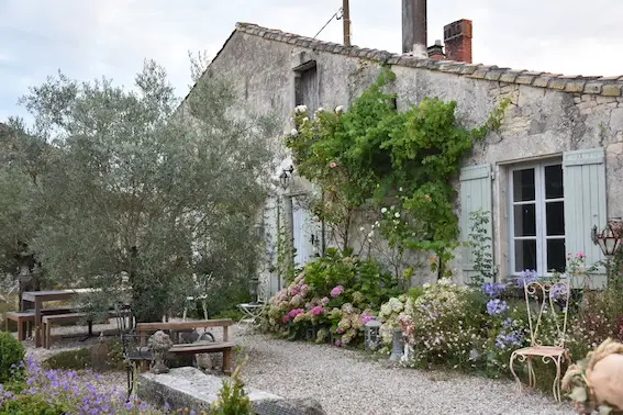 Des Pensées au jardin