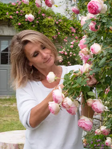 Des Pensées au jardin