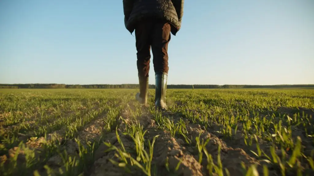 Connaissez-vous le label « Zéro Résidus de Pesticides » ?