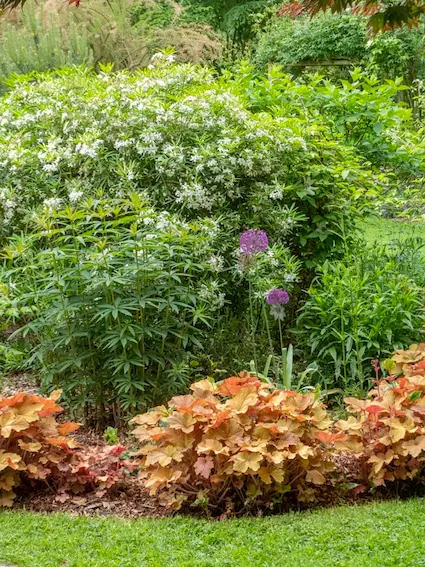 le jardin des Aubépines