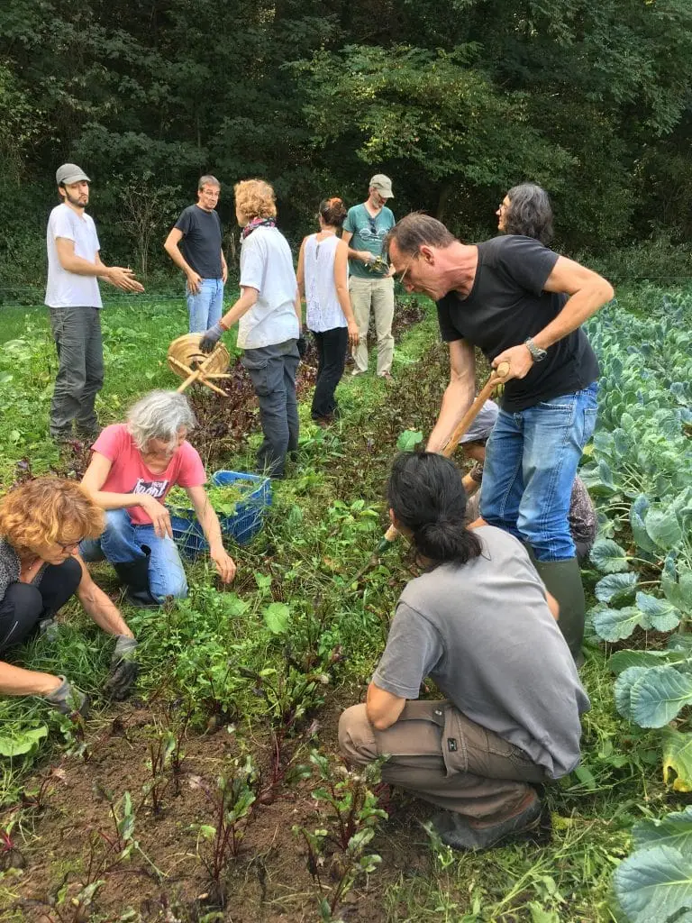 Cultiver ensemble et dans la convivialité avec l’asso Côté Jardins