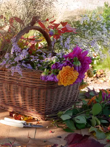 école du bouquet