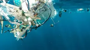 Ce port de la Manche se mobilise contre les déchets marins