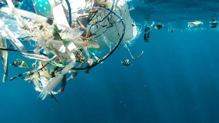 Ce port de la Manche se mobilise contre les déchets marins