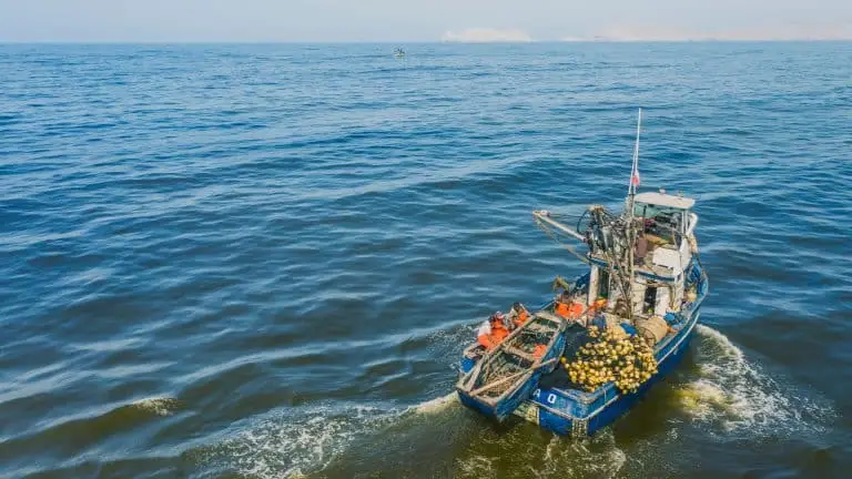 Un bateau de pêche dans les eaux péruviennes.