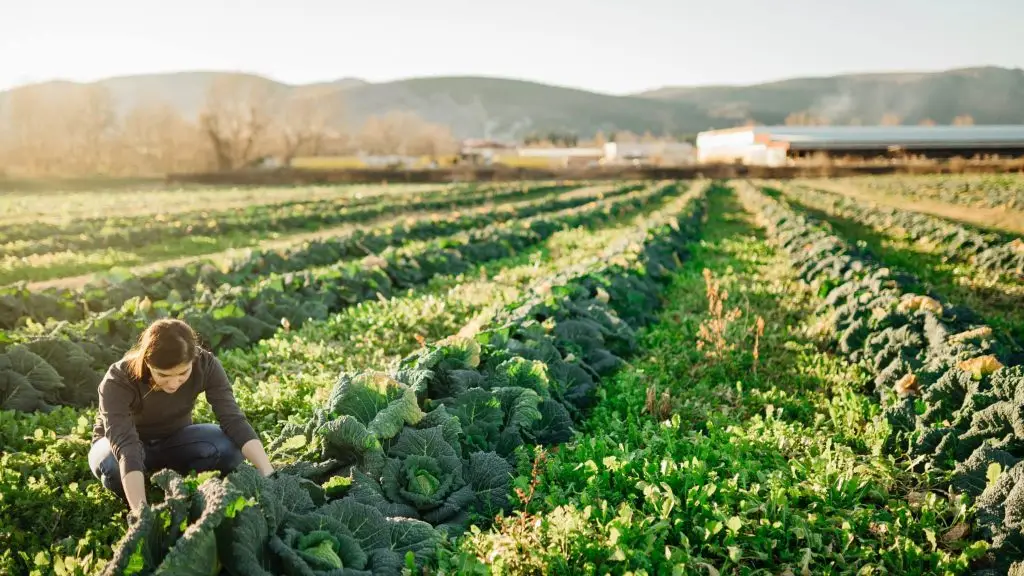 Dimanche 5 mai : poussez les portes ouvertes des fermes bio et équitables