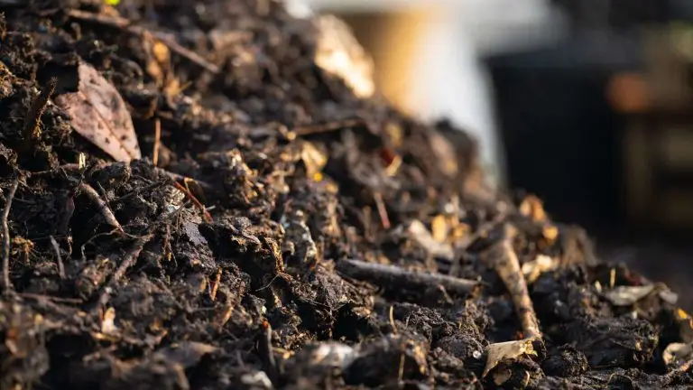 « Les chercheuses de l’invizible », l'aventure souterraine du compost