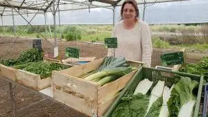 Aurore Cessateur Sournac, Le Jardin de Quentin à Eysines en Gironde.