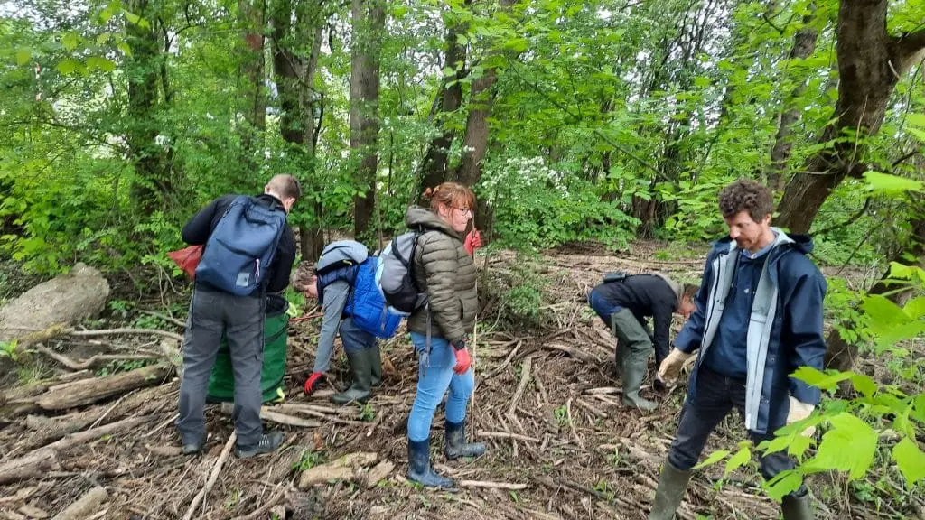 Défi : Créer des zones humides pour préserver les libellules