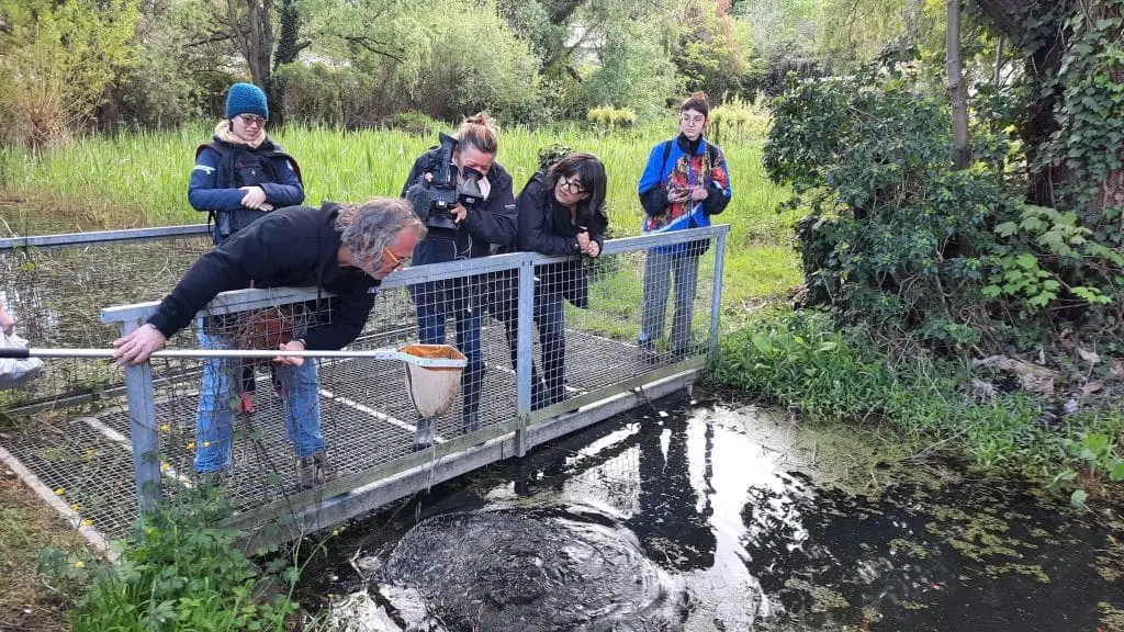 Défi : Créer des zones humides pour préserver les libellules