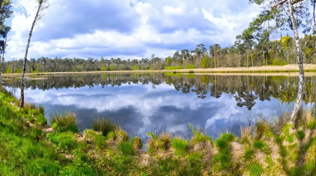 Mastbos Forest, Breda, Noord-Brabant Province, Holland, Netherlands, Europe