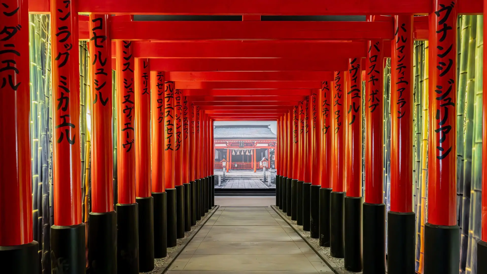 Lyon : Le Japon entre hier et aujourd’hui avec l’expo Passion Japon