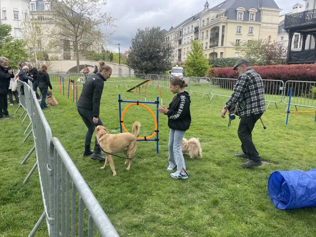 Le Festi'dog au Plessis-Robinson