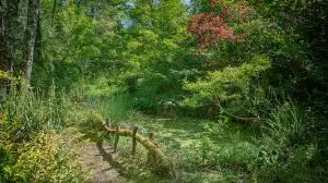 Jardin des Bois