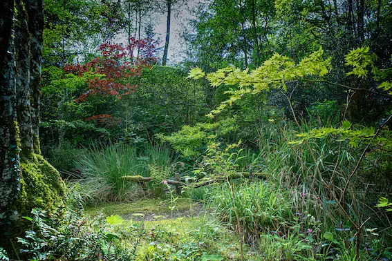 Jardin des Bois