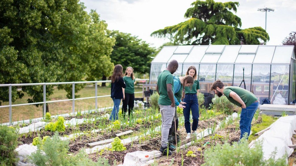 Des jeunes au cœur des jardin partagé en Ile-de-France.