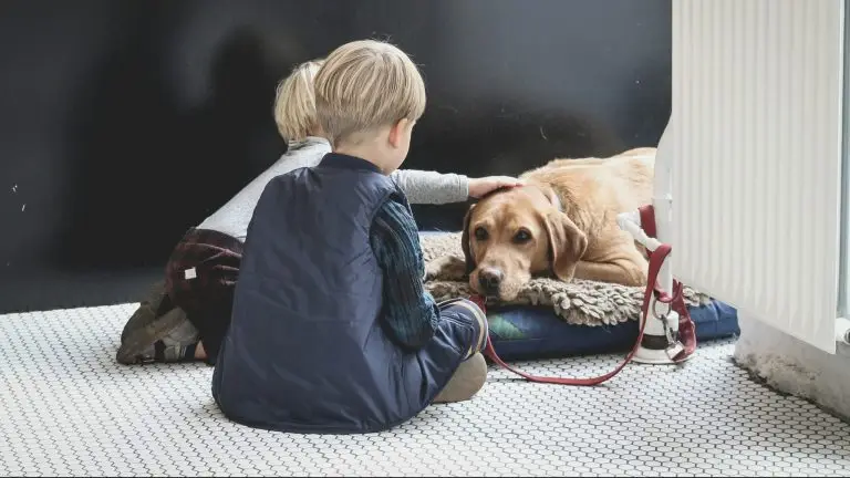 enfants face à un labrador couché