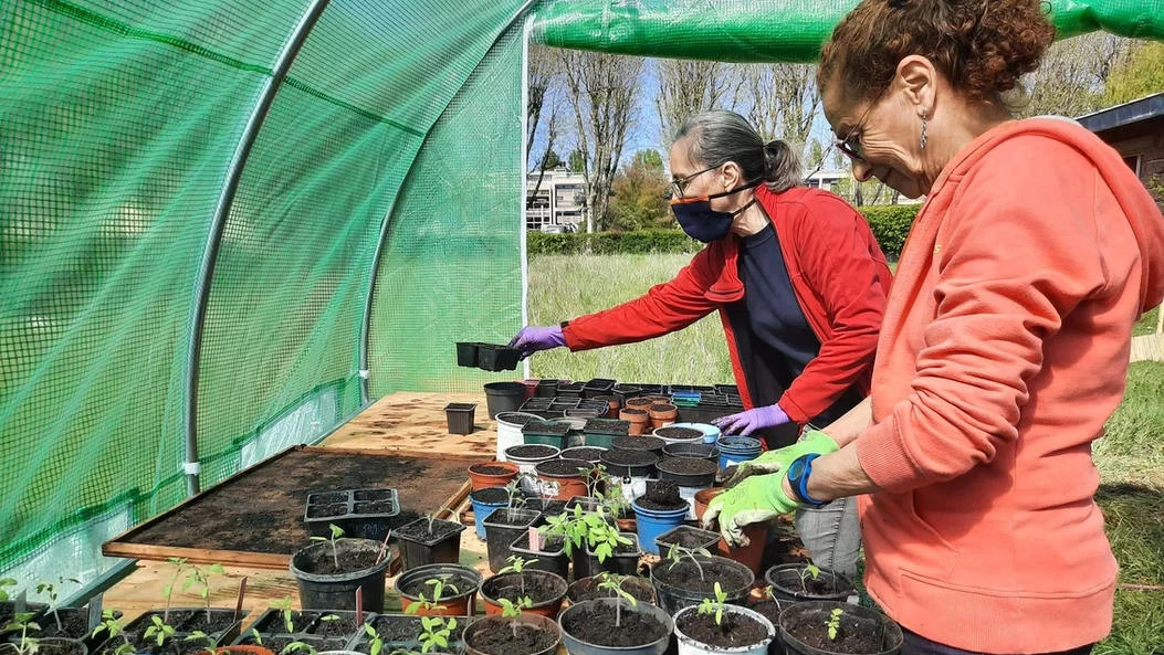 Atelier jardinage avec des bénévoles.