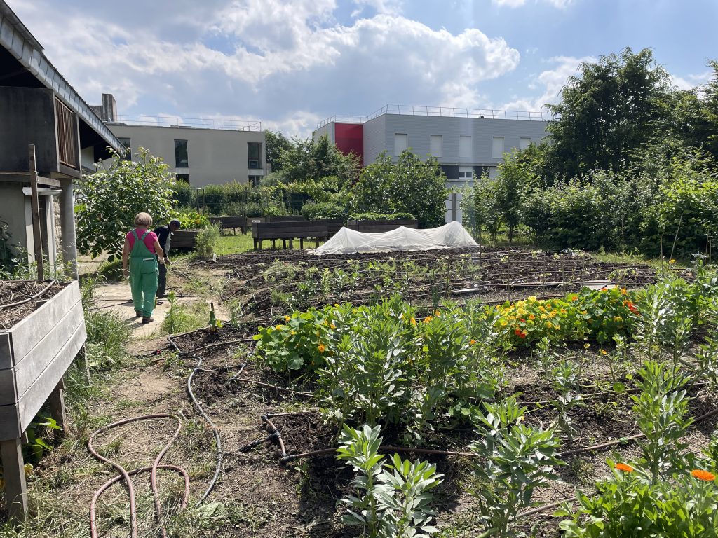 Un jardin partagé à Bondy