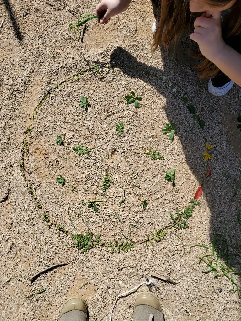 Les bienfaits positifs et pédagogiques des classes en pleine nature