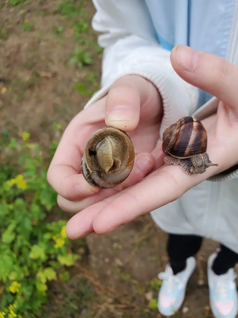 Les bienfaits positifs et pédagogiques des classes en pleine nature