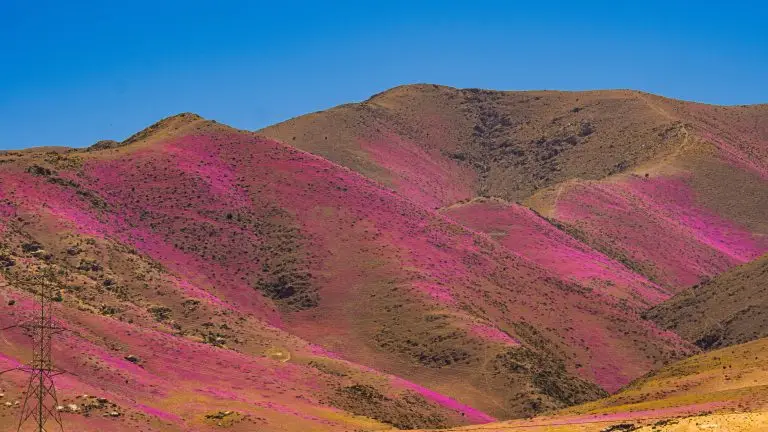 Le désert d'Atacama, au Chili.