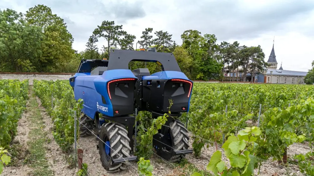 Démonstration d'une machine VitiBot dans les vignes