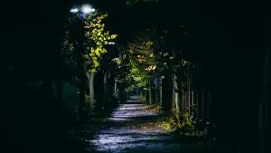 chemin de nuit éclairé par des lampadaires