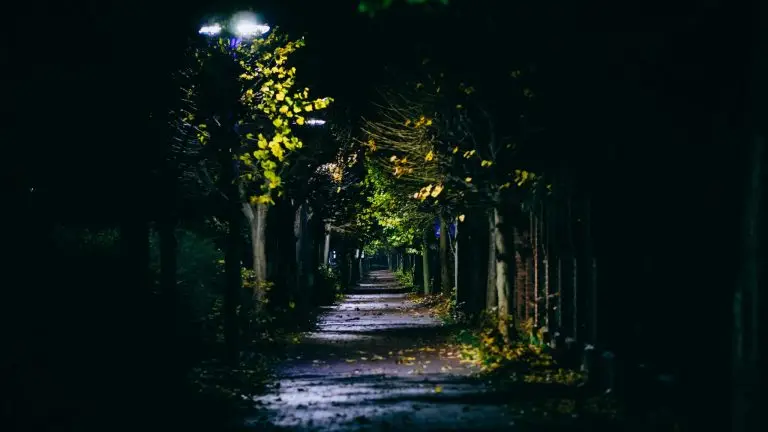 chemin de nuit éclairé par des lampadaires