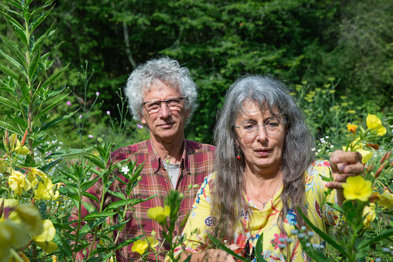 Les Jardins de l'Albarède