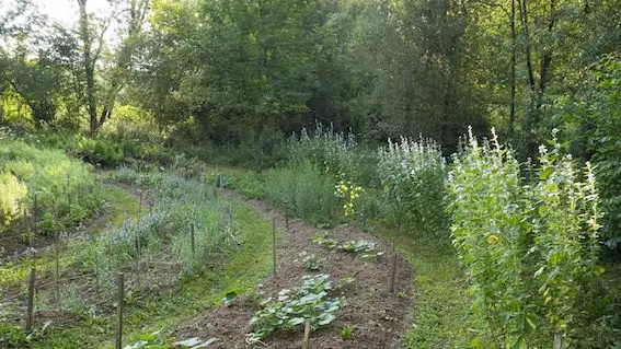 les Jardins de Jammes