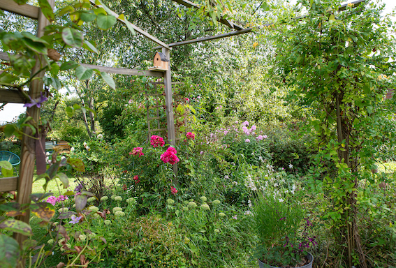 Jardin-de-campagne-Nicolas Saint-Léger